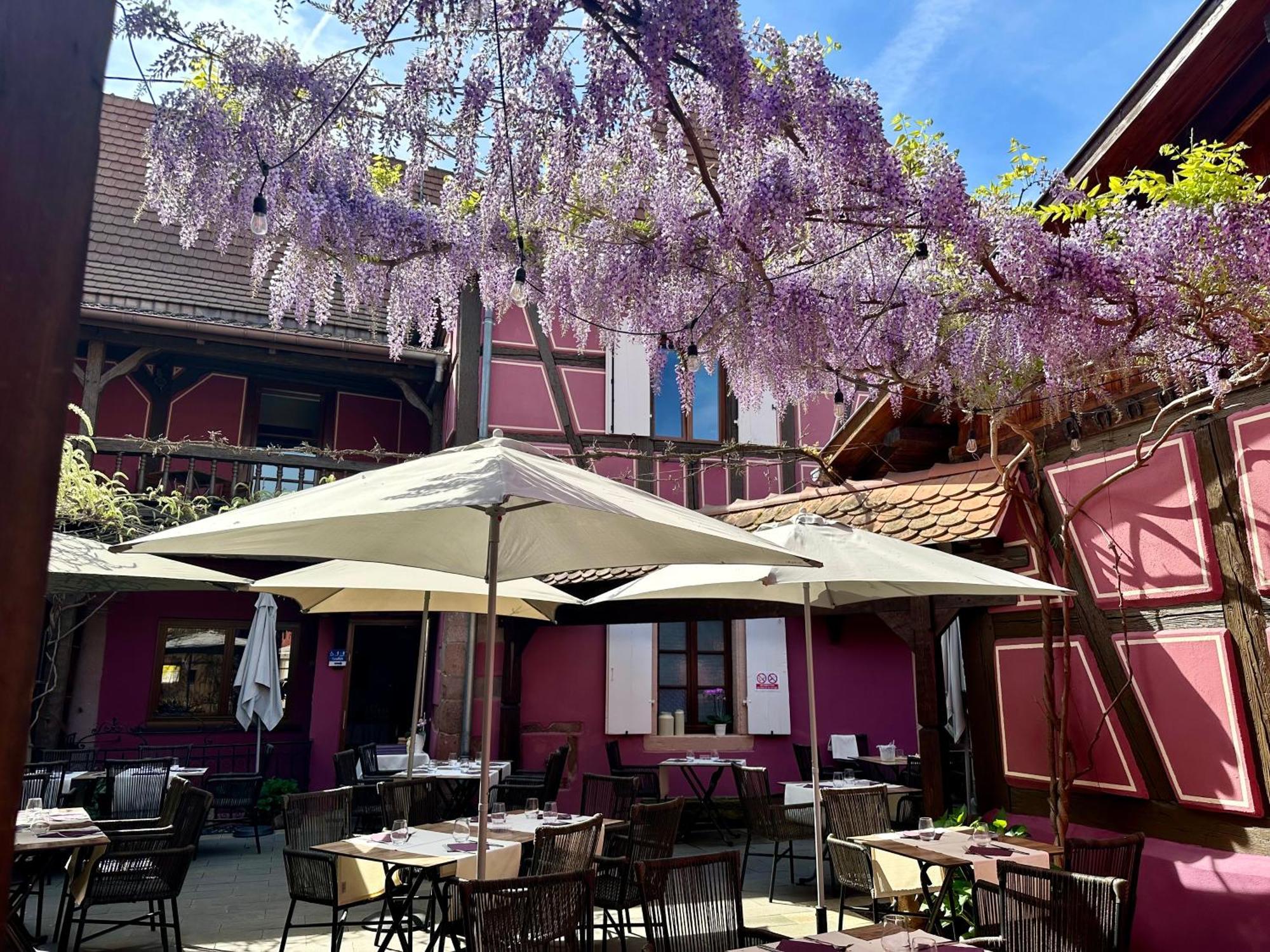 Auberge Le Meisenberg Chatenois  Exterior photo