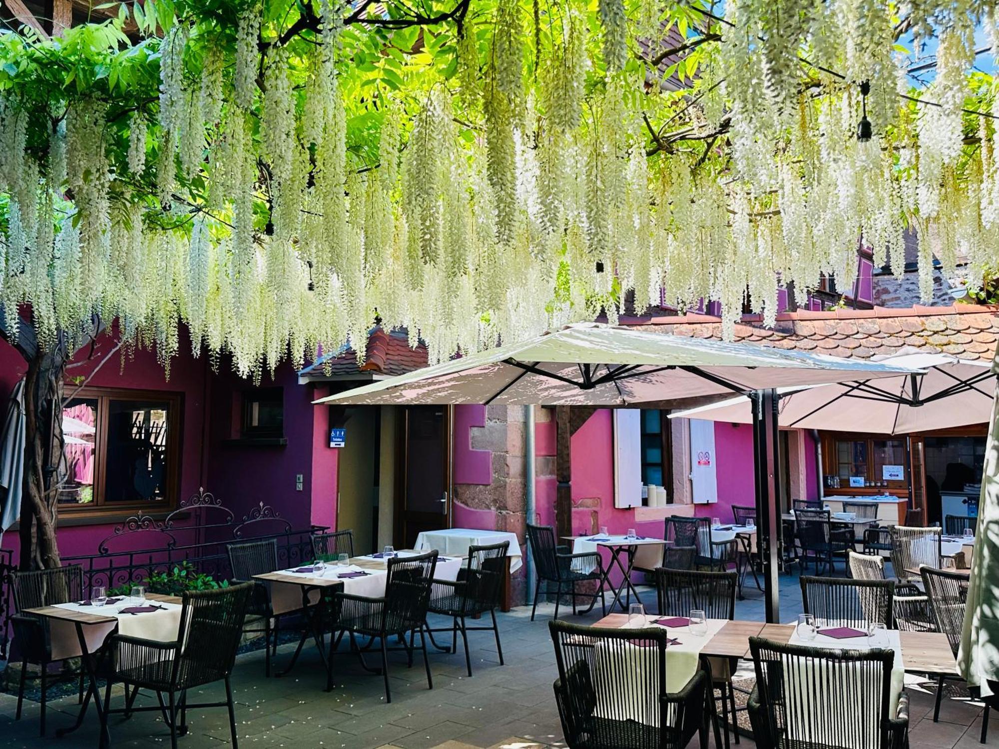 Auberge Le Meisenberg Chatenois  Exterior photo